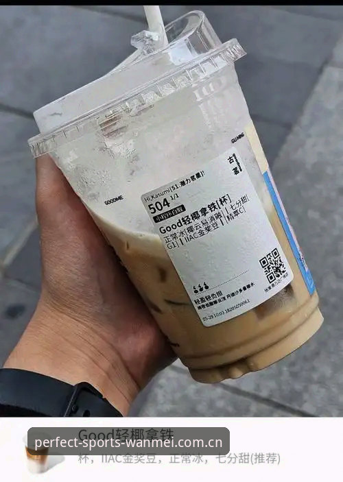 新手快速上手！完美体育K3P9下载安装全攻略与使用心得